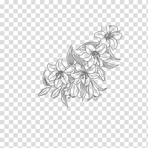 Black And White Flower, Artist, Daenerys Targaryen, Digital Art, Contemporary Art, Drawing, One Woman Army, Jimin transparent background PNG clipart