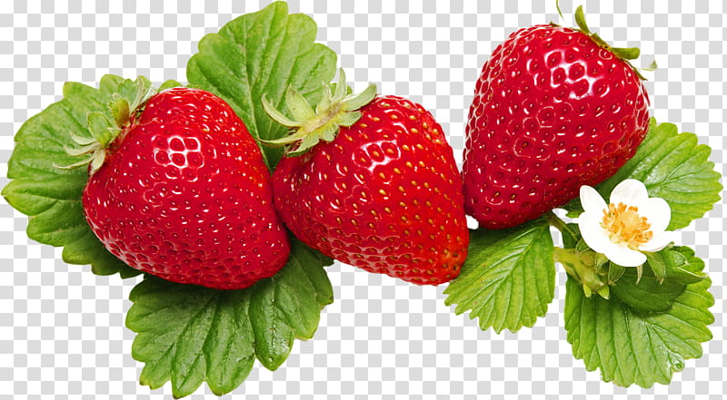 three red strawberries transparent background PNG clipart