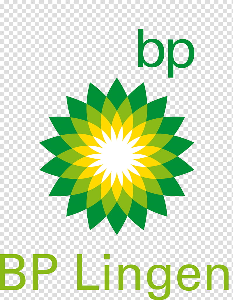Checkpoint Logo, BP, Petroleum, Oil Spill, Filling Station, Fuel Card, Petroleum Industry, ExxonMobil transparent background PNG clipart