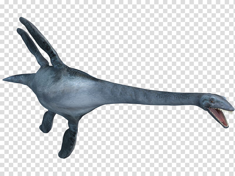 Elasmosaurus , grey dinosaur illustration transparent background PNG clipart