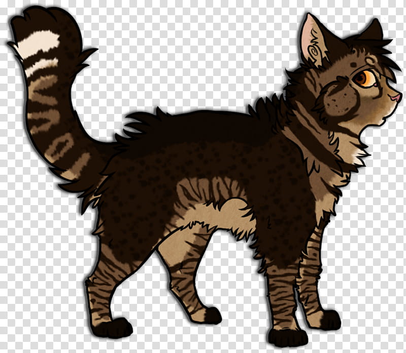 Cat, Whiskers, Wildcat, Fur, Paw, Claw, Tail, Wild Cat transparent background PNG clipart