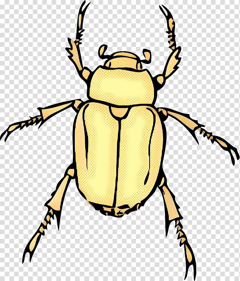 June, Beetle, Brown Marmorated Stink Bug, True Bugs, Japanese Beetle, Cockchafer, Dung Beetle, Green June Beetle transparent background PNG clipart