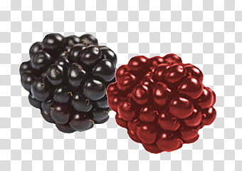 two blue and red raspberries transparent background PNG clipart