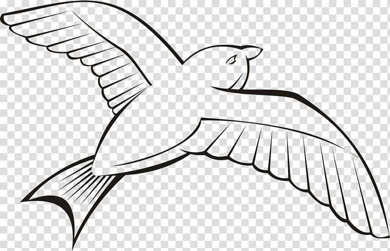 Bird Line Drawing, Flight, Heron, Pigeons And Doves, Bird Flight, Beak, Flock, Grey Heron transparent background PNG clipart