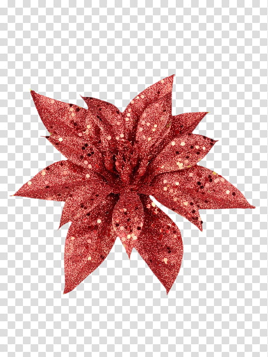 Pink Flower, Leaf, Red, Poinsettia, Plant, Tree, Sweet Gum, Petal transparent background PNG clipart