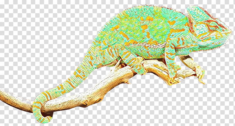 Animal, Chameleons, Iguanas, Insect, Lizard, Reptile, Animal Figure, Iguania transparent background PNG clipart