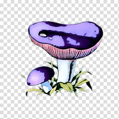 Mushroom, Purple, Flower, Violet, Edible Mushroom, Plant transparent background PNG clipart