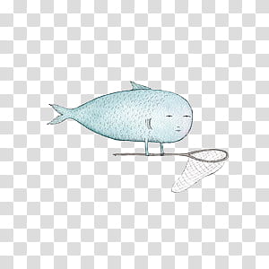 Marc John hand drawing s, white fish transparent background PNG clipart