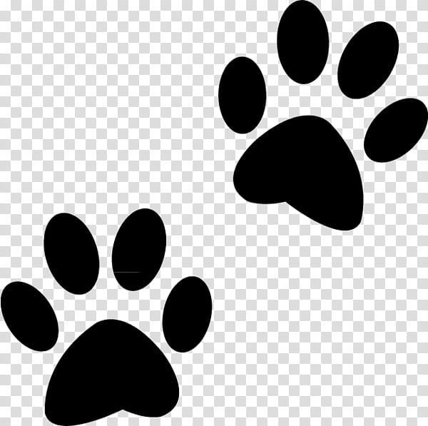 Dog And Cat, Paw, Polydactyl Cat, Puppy, Pet, Claw, Puppy Cat, Pet Sitting transparent background PNG clipart