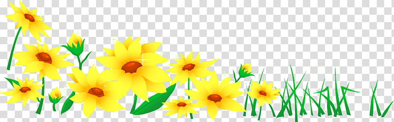 flower border flower, Flower Background, Yellow, Petal, Plant, Sunflower, Wildflower, Cut Flowers transparent background PNG clipart