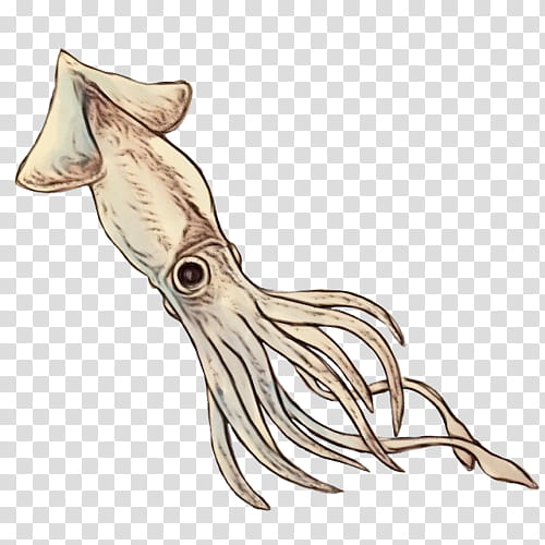 squid octopus cuttlefish marine invertebrates tail, Watercolor, Paint, Wet Ink, Seafood transparent background PNG clipart