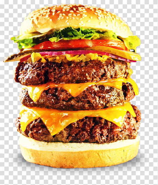 Junk Food, Cheeseburger, Whopper, Veggie Burger, Buffalo Burger, Hamburger, Slider, Salmon Burger transparent background PNG clipart