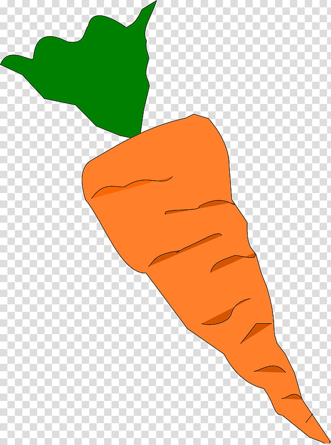 Healthy Food, Carrot, Carrot Cake, Vegetable, Drawing, Baby Carrot, Inkscape, Healthy Diet transparent background PNG clipart