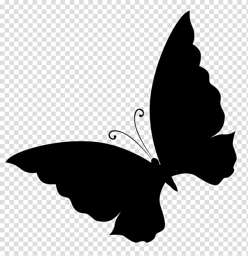Leaf Silhouette, Brushfooted Butterflies, Black M, Butterfly, Blackandwhite, Moths And Butterflies, Wing, Logo transparent background PNG clipart