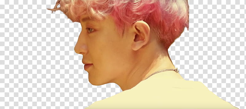 Chanyeol EXO Kokobop M V transparent background PNG clipart