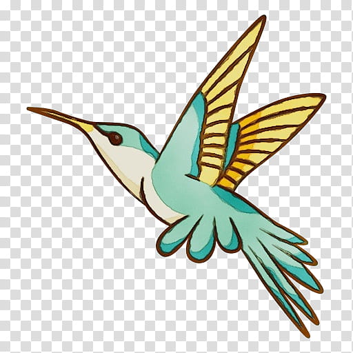 Hummingbird, Watercolor, Paint, Wet Ink, Beak, Wing, Rufous Hummingbird, Coraciiformes transparent background PNG clipart