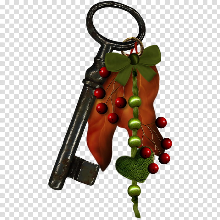 Christmas Holly, Christmas Ornament, Key Chains, Egypt, Internet Forum, Control Panel, Home, Christmas Day transparent background PNG clipart