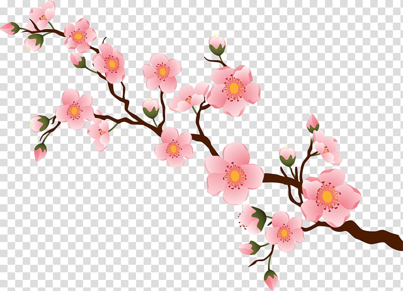 Cherry Blossom, Branch Brook Park, Cherries, Flower, Plant, Pink, Spring
, Petal transparent background PNG clipart
