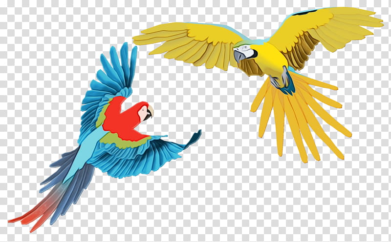 Bird Parrot, Macaw, Drawing, Scarlet Macaw, Blueandyellow Macaw, Cartoon, Hyacinth Macaw, Macaws transparent background PNG clipart