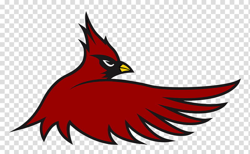 American Football, Cardinal Hayes High School, Arizona Cardinals, St Louis Cardinals, NFL, Logo, Catholic High School Athletic Association, Northern Cardinal transparent background PNG clipart