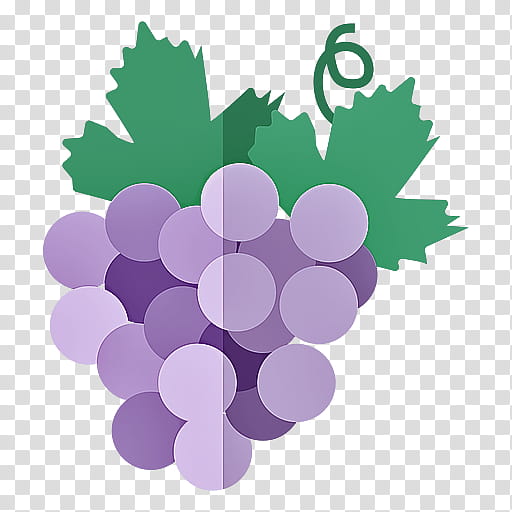 grape grapevine family purple vitis violet, Leaf, Fruit, Plant, Seedless Fruit, Logo, Grape Leaves, Circle transparent background PNG clipart