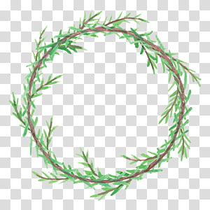 Christmas decoration, Oregon Pine, Colorado Spruce, Red Juniper, Shortleaf Black Spruce, White Pine, Twig, American Larch transparent background PNG clipart thumbnail