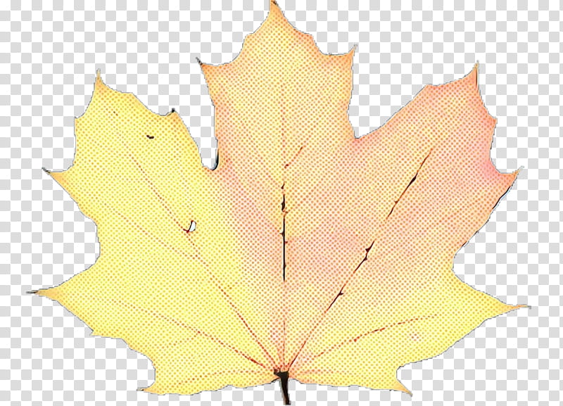 Family Tree, Maple Leaf, Black Maple, Yellow, Woody Plant, Plane, Deciduous, Planetree Family transparent background PNG clipart