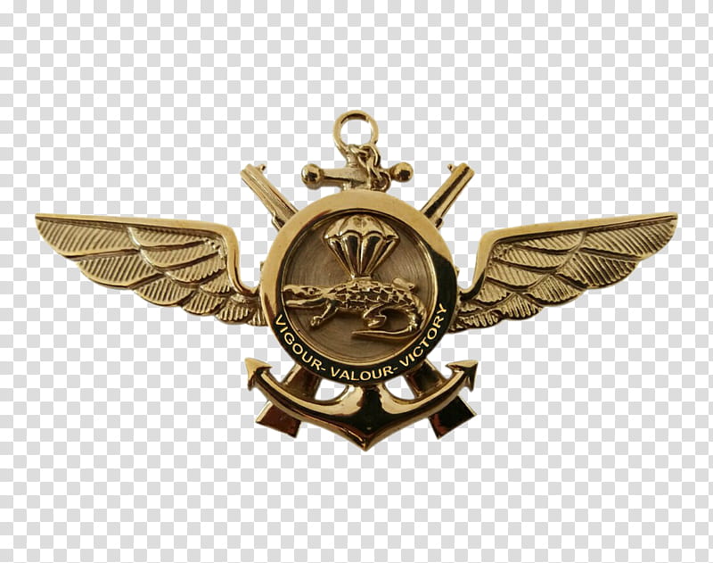 Eagle Logo, Sri Lanka, Marines, Sri Lanka Navy, United States Marine Corps, United States Marine Corps Rank Insignia, Battalion, Eagle Globe And Anchor transparent background PNG clipart