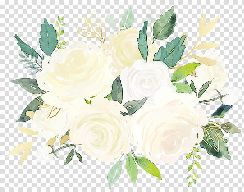 Rose, Watercolor, Paint, Wet Ink, Flower, White, Plant, Cut Flowers transparent background PNG clipart