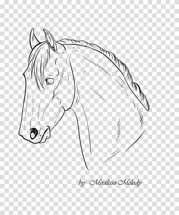 Free lineart horse&#;s head, illustration of portrait horse transparent background PNG clipart