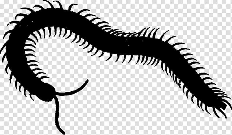 Eye, Line, Millipedes, Centipede, Plant, Eyelash transparent background PNG clipart