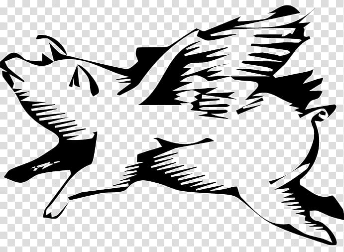 Flying Bird, Silhouette, Beak, Pig Silhouette, Black White M, Wing, Head, Blackandwhite transparent background PNG clipart