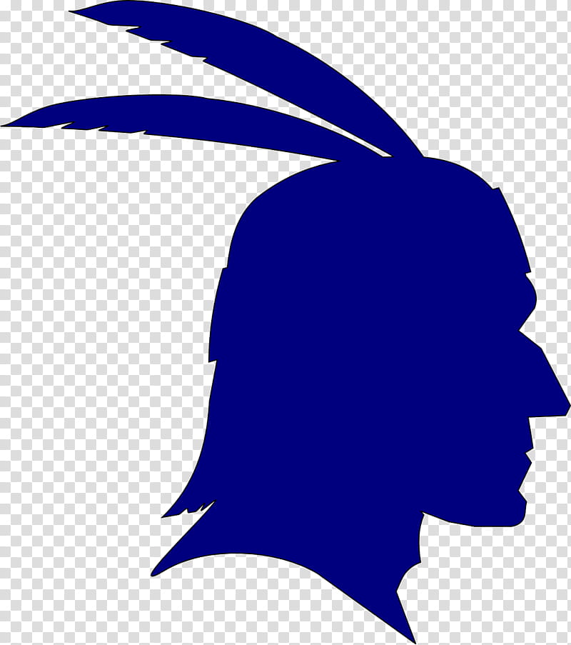 Leaf Silhouette, Tribal Chief, United States Of America, War Bonnet, Tribe, Sioux, Beak, Wing transparent background PNG clipart