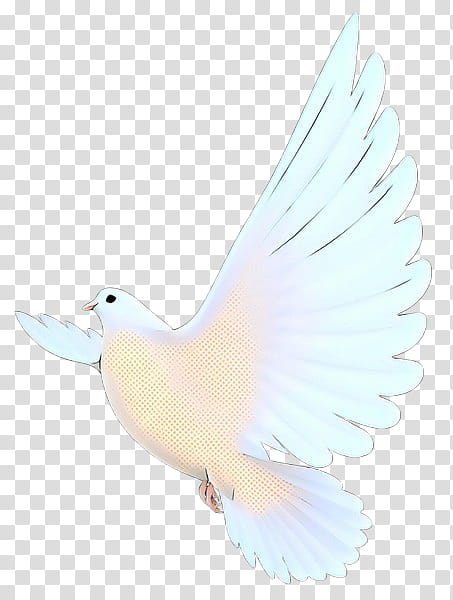 Dove Bird, Duck, Beak, Feather, White, Wing, Pigeons And Doves, Tail transparent background PNG clipart