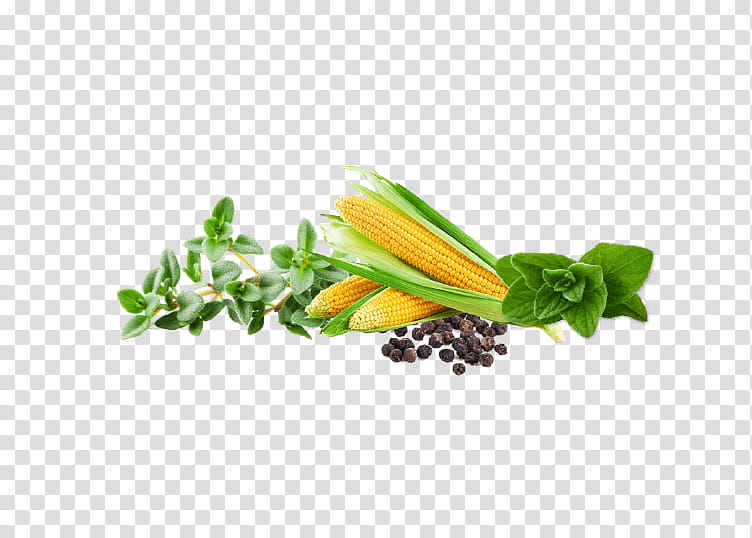 India Food, Srg Organic Foods India Pvt Ltd, Manchow Soup, Greens, Chicken Soup, Tomato Soup, Vegetarian Cuisine, Herb transparent background PNG clipart
