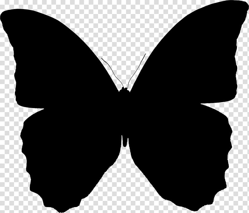 Butterfly Black And White, United States Of America, Flag, Silhouette, Flag Of Saint Vincent And The Grenadines, Lepidoptera, Americas, Moths And Butterflies transparent background PNG clipart