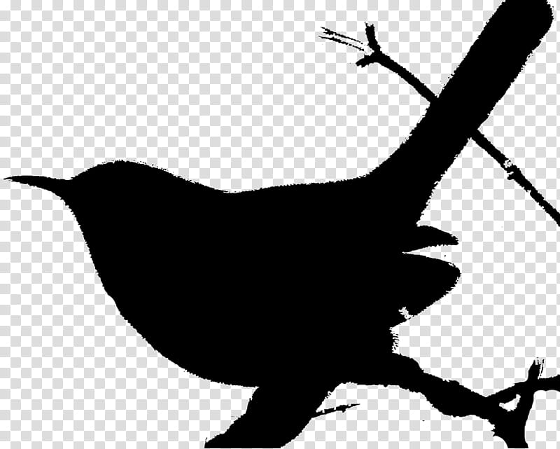 Bird Silhouette, Wren, House Wren, Cactus Wren, Rock Wren, Carolina Wren, Australasian Wrens, Beak transparent background PNG clipart