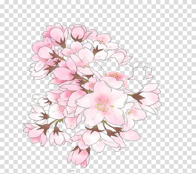 Bouquet Of Flowers Drawing, Cherry Blossom, National Cherry Blossom Festival, Painting, Pixiv, Watercolor Painting, Cherries, Pink transparent background PNG clipart