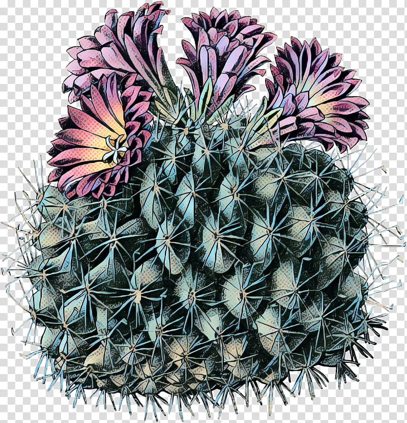 Bunny Ears, Cactus, Succulent Plant, Turbinicarpus, Saguaro Cactus, Plants, Turbinicarpus Horripilus, Watercolor Painting transparent background PNG clipart