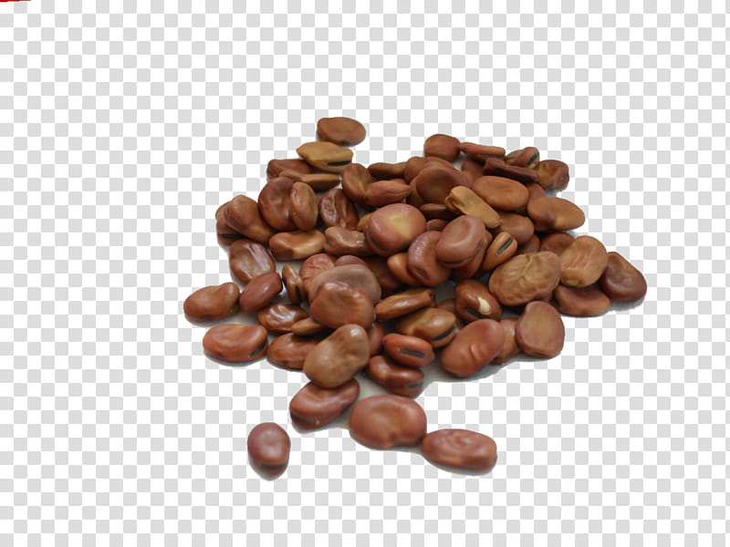 Mountain, Cocoa Bean, Chocolatecoated Peanut, Legumes, Jamaican Blue Mountain Coffee, Cranberry Bean, Wild Bean, Broad Bean transparent background PNG clipart