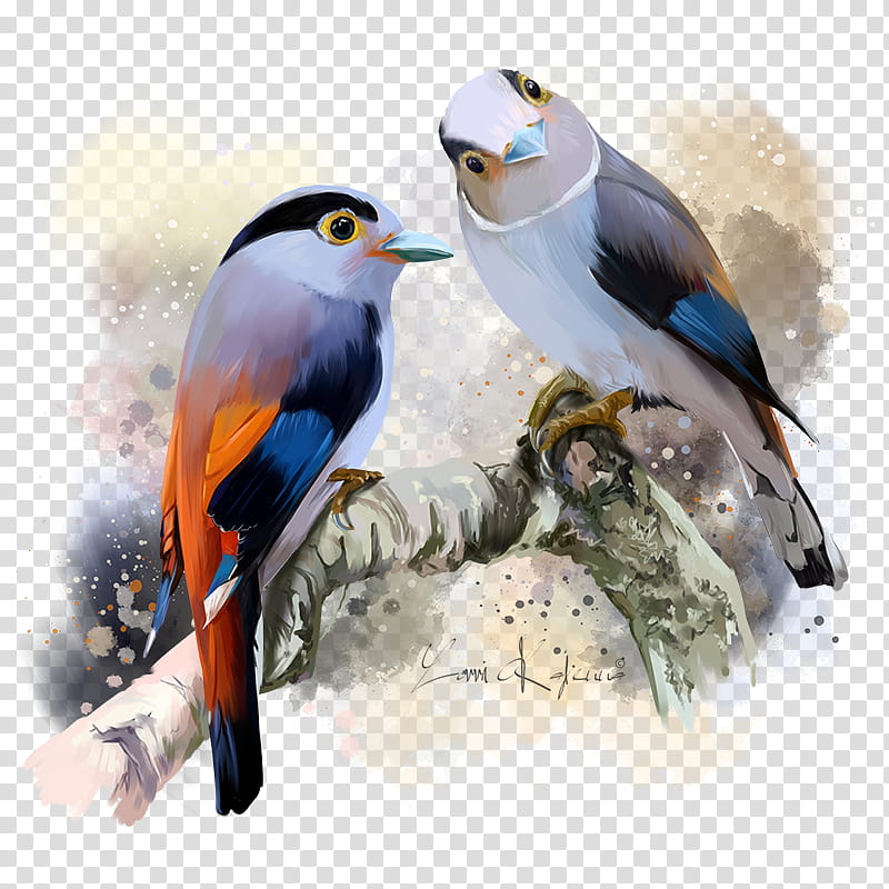 Painting, Bird, Silverbreasted Broadbill, Beak, Feather transparent background PNG clipart
