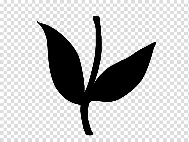 leaf white black black-and-white logo, Blackandwhite, Plant, Monochrome , Plant Stem transparent background PNG clipart