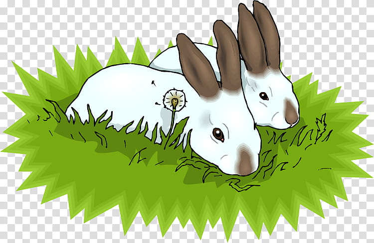 Easter Bunny, Rabbit, European Rabbit, Animation, Cartoon, Drawing, Grass, Hare transparent background PNG clipart
