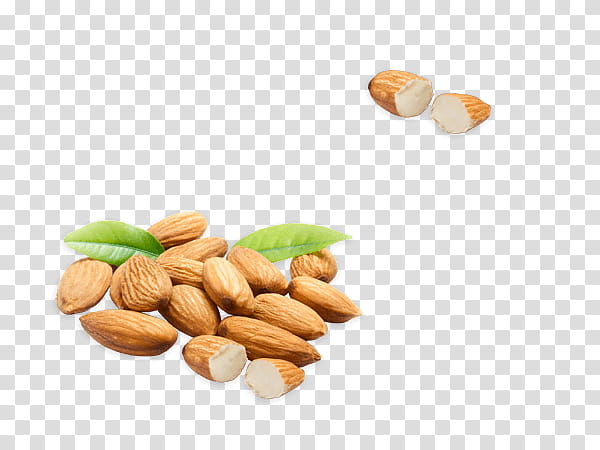 Fat, Almond, Food, Nut, Ingredient, Cashew, Dried Fruit, Bean transparent background PNG clipart