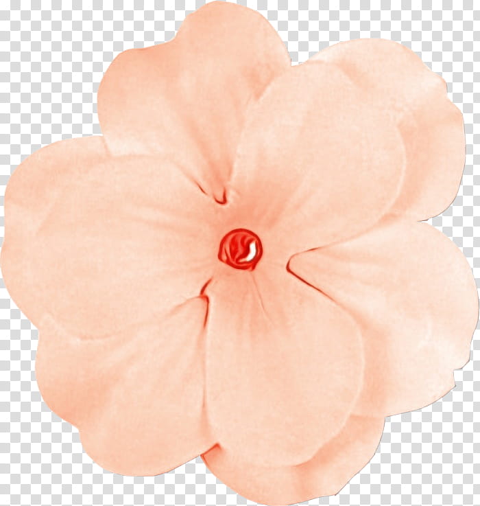 petal pink flower plant impatiens, Watercolor, Paint, Wet Ink, Peach, Hair Accessory, Geranium, Perennial Plant transparent background PNG clipart