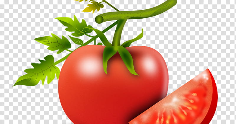 Tomato, Natural Foods, Vegetable, Solanum, Local Food, Bush Tomato, Plant, Fruit transparent background PNG clipart