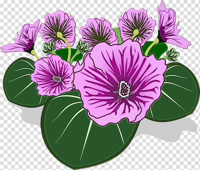 flower purple violet plant petal, Watercolor, Paint, Wet Ink, Petunia, Morning Glory, Violet Family, Anthurium transparent background PNG clipart