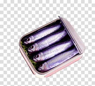 sardines in can transparent background PNG clipart