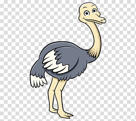 Turtle Drawing, Common Ostrich, Bird, Animal, Emu, Reptile, Almightywind, Animation transparent background PNG clipart