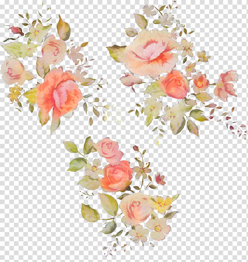 Pink Flower, Garden Roses, Cabbage Rose, Floral Design, Cut Flowers, Rose Family, Rose Garden, Flower Bouquet transparent background PNG clipart